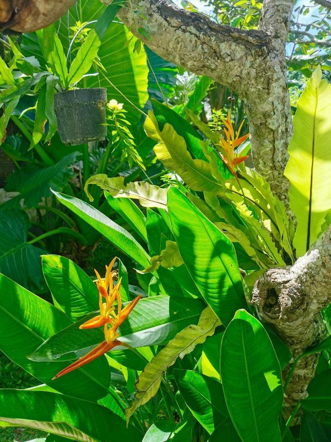 Artoria Dream Villas Bali Nusa Dua  Kültér fotó